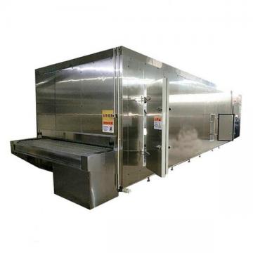 Frozen or Fried Sweet Potato Chips Production Line with Ce