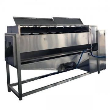 Quick Freezing Processing Machine Frozen Vegetable and Fruit Production Line